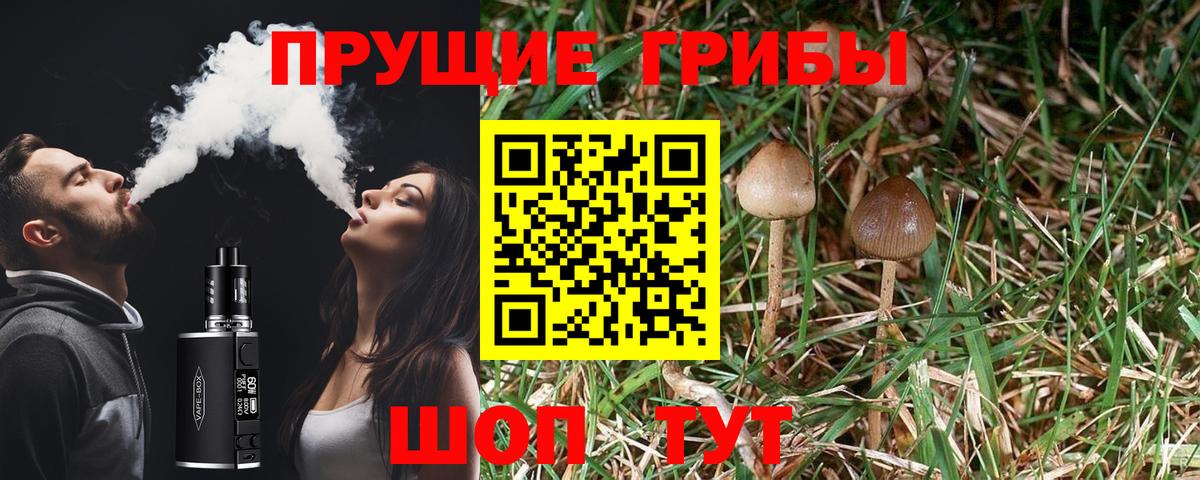 Псилоцибиновые грибы мухоморы  Вход с VPN  Псилоцибиновые грибы Psilocybine cubensis  Подольск 