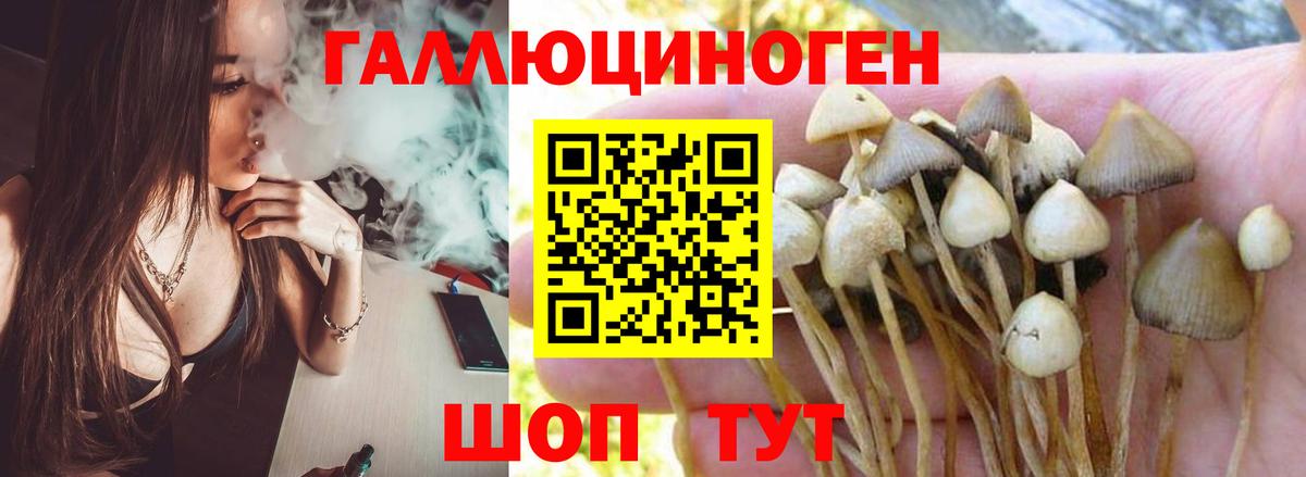 Псилоцибиновые грибы мухоморы Подольск